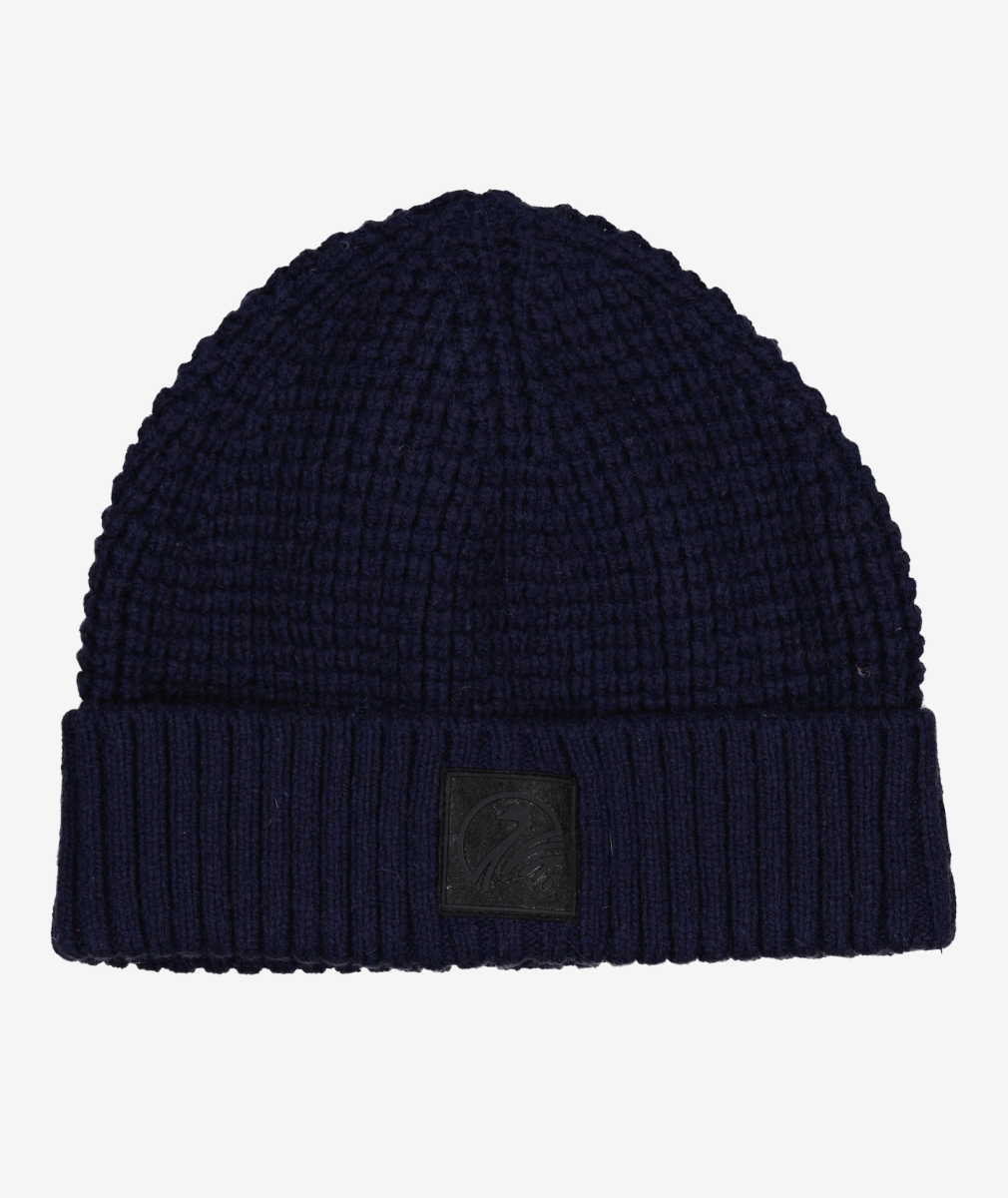 Newton Beanie